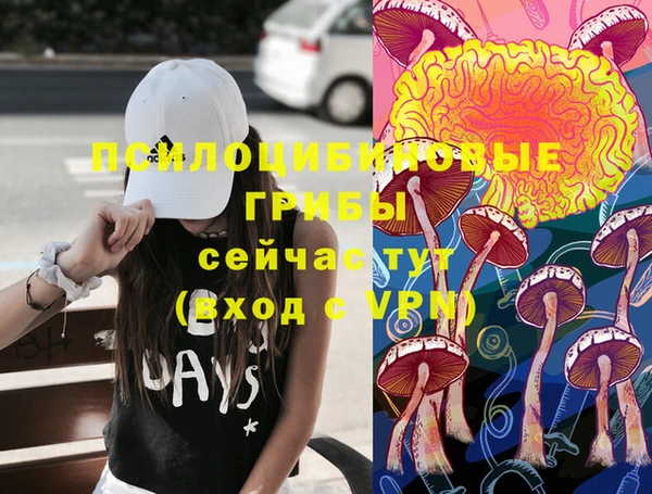 крисы Алзамай