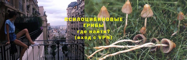 a pvp Алексин