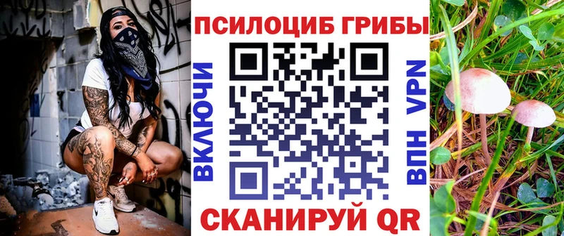 Галлюциногенные грибы Psilocybe  наркошоп  Мензелинск 